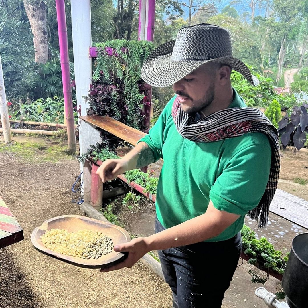 Salento y paisaje del Valle del Cocora en el Eje Cafetero
