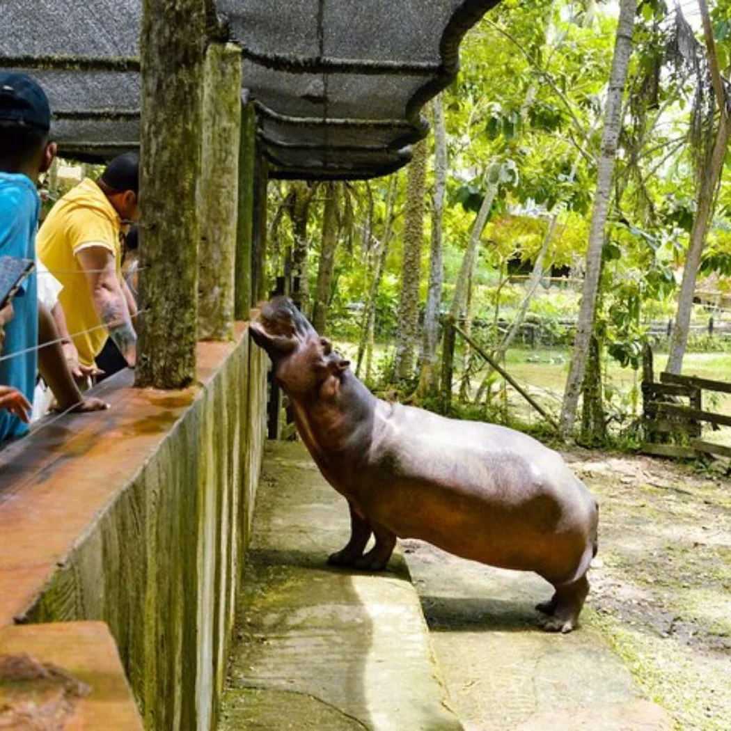 Fauna y entorno natural de Hacienda Nápoles